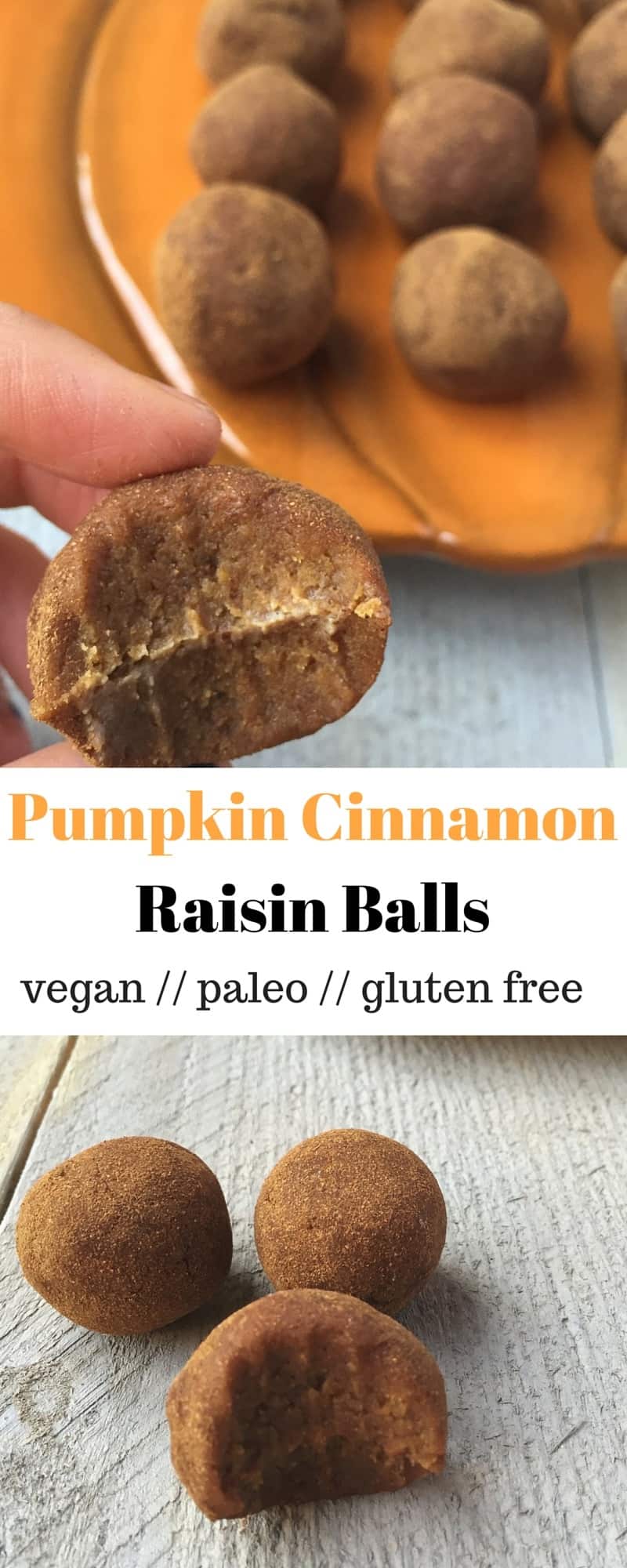 Pumpkin Cinnamon Raisin Balls