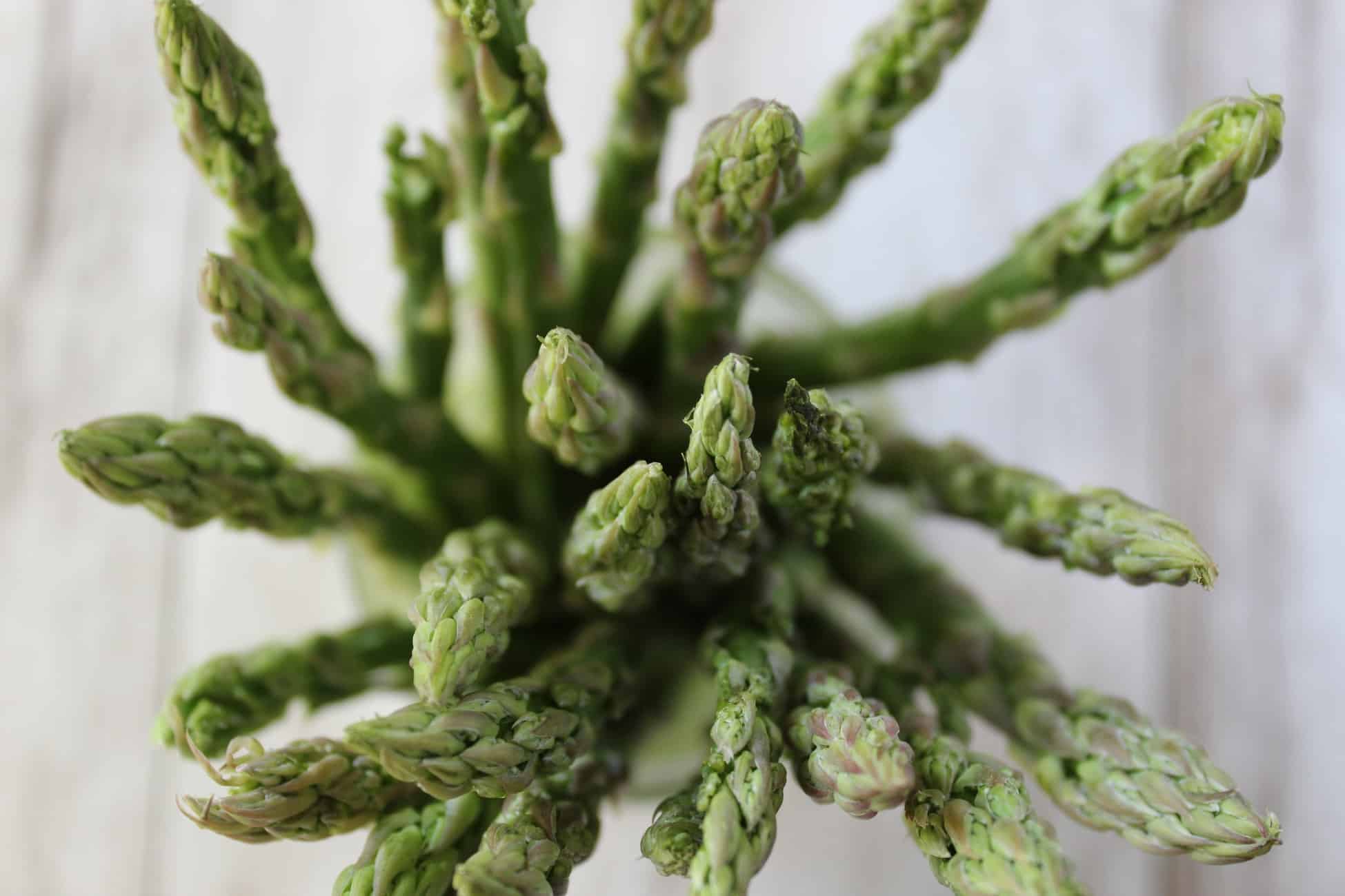 Asparagus