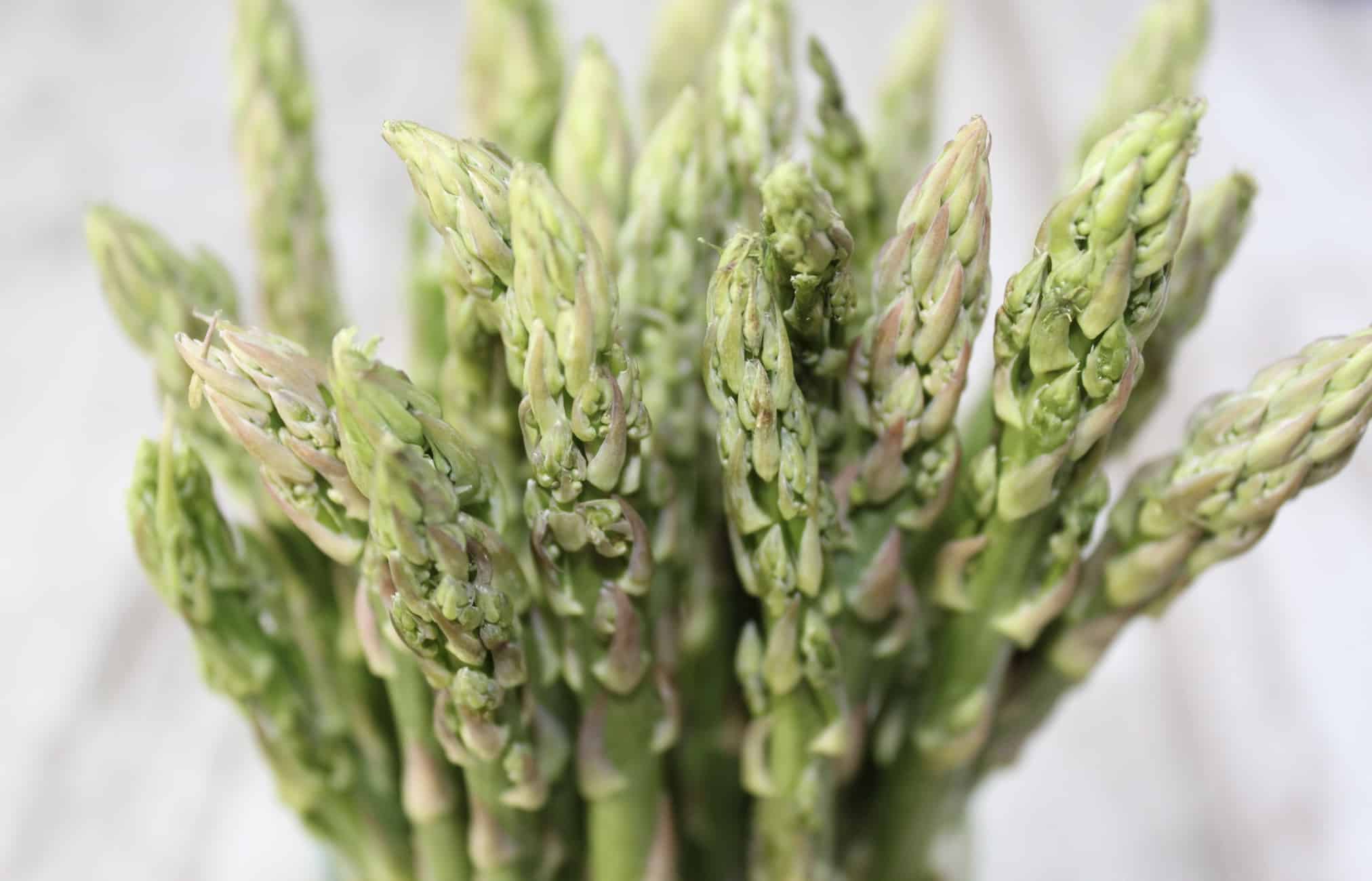 Asparagus