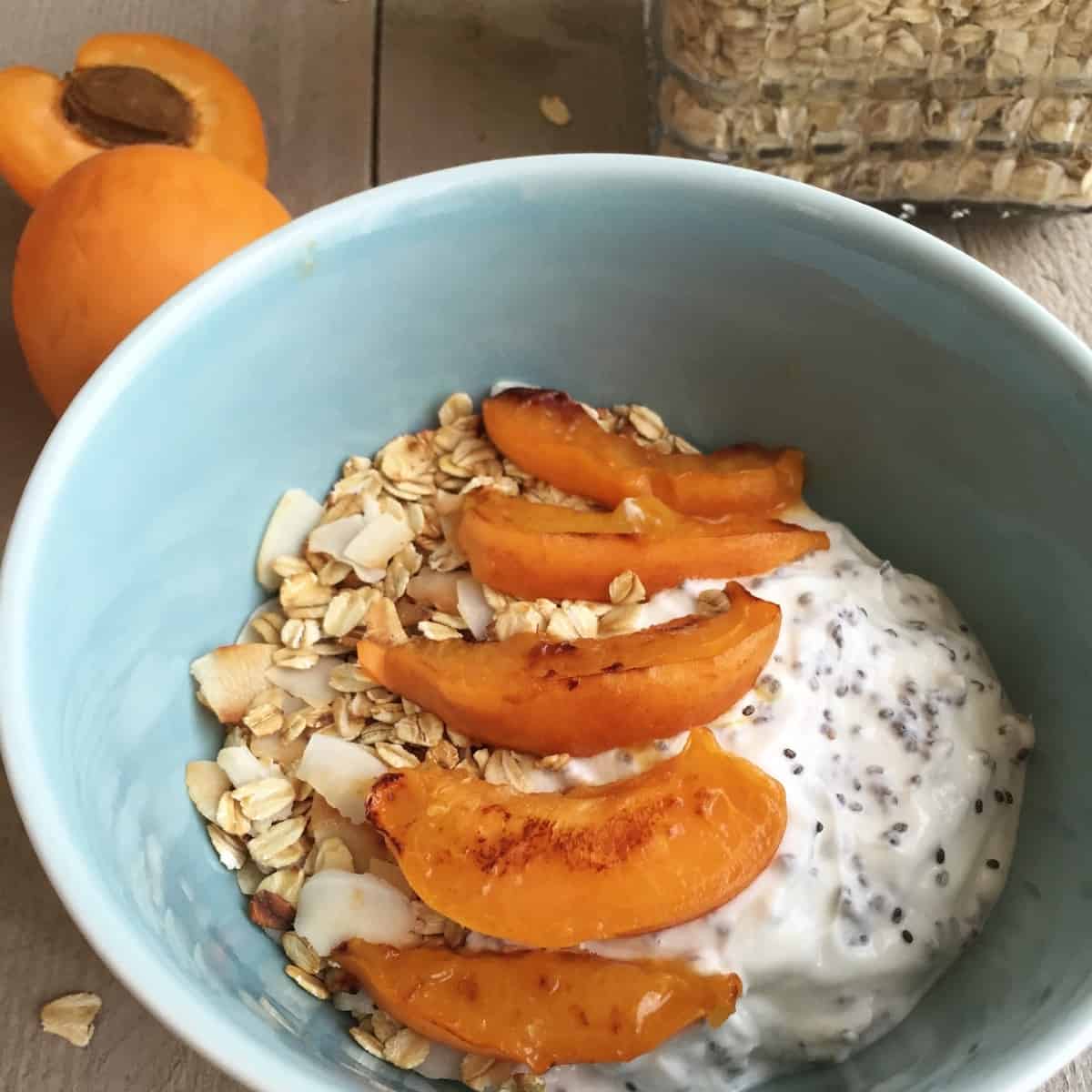 Toasted Oats & Apricot Yogurt Bowl