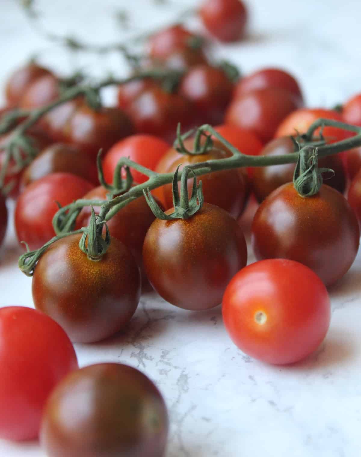Tomatoes