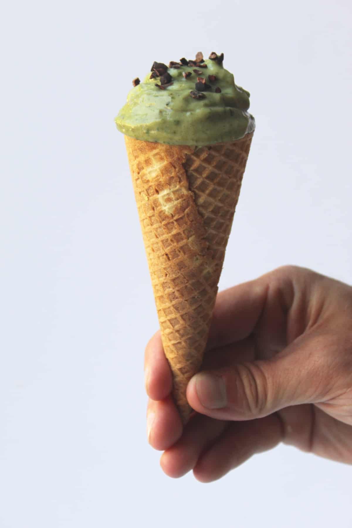 3 Ingredient Mint Ice Cream (No Churn!)