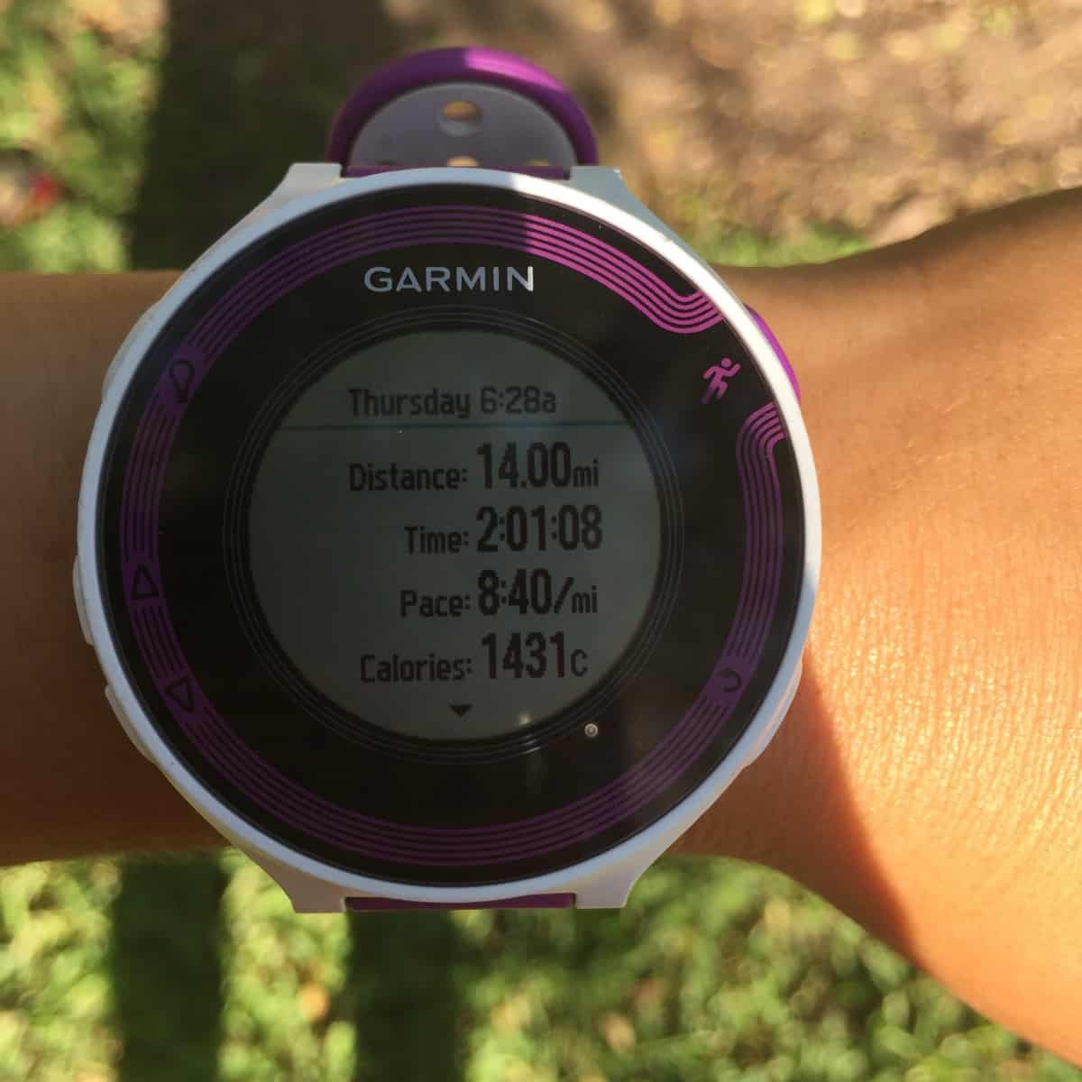 Weekly Workouts Recap