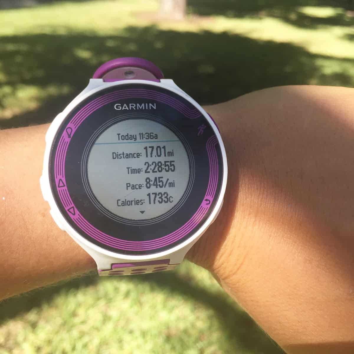 Weekly Workouts Recap