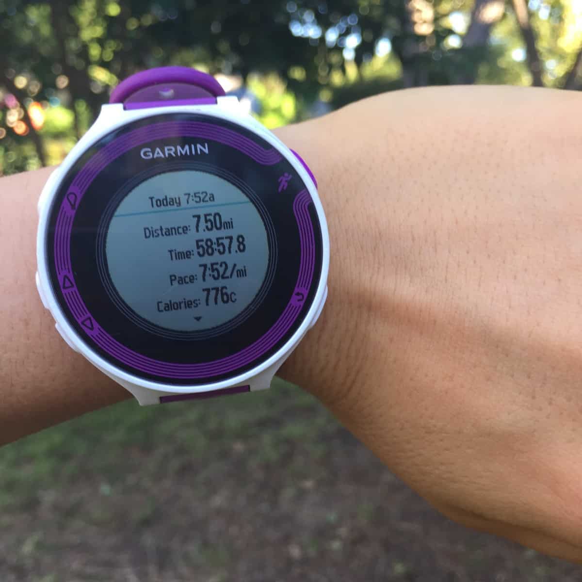 Weekly Workouts Recap