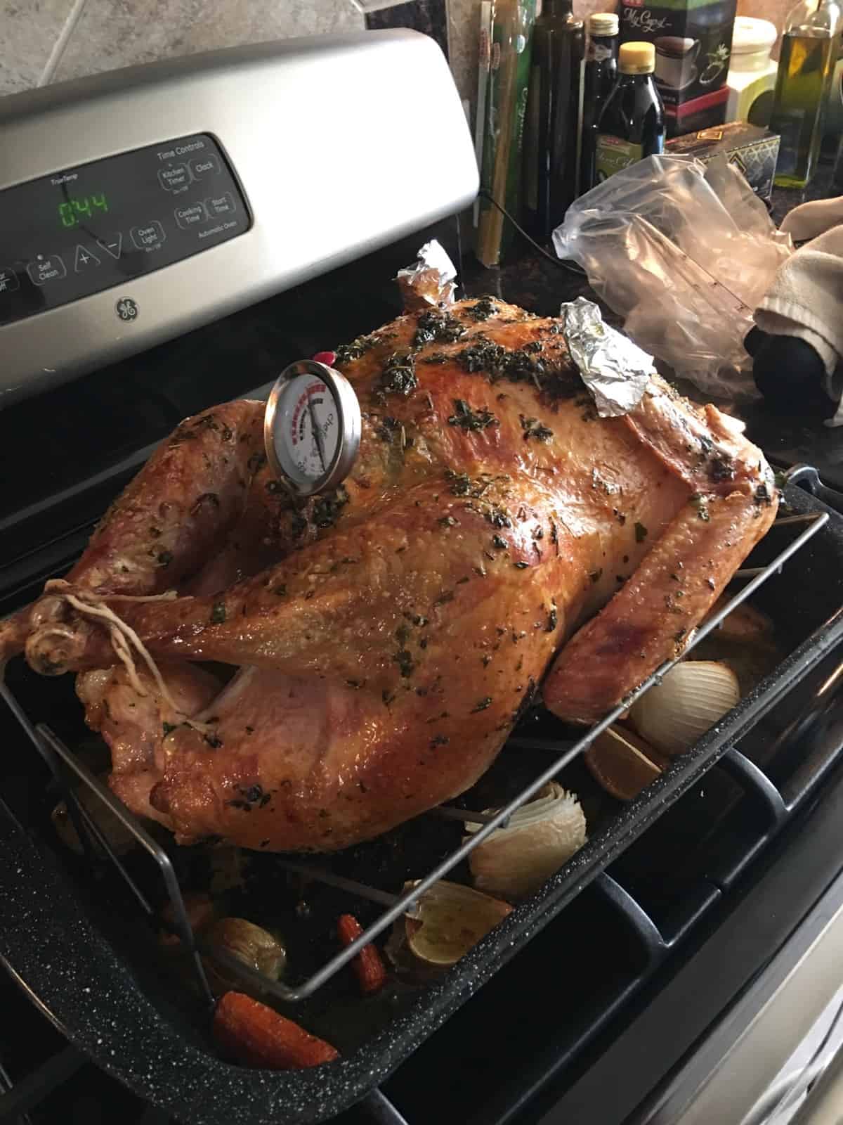 November Rewind 2016