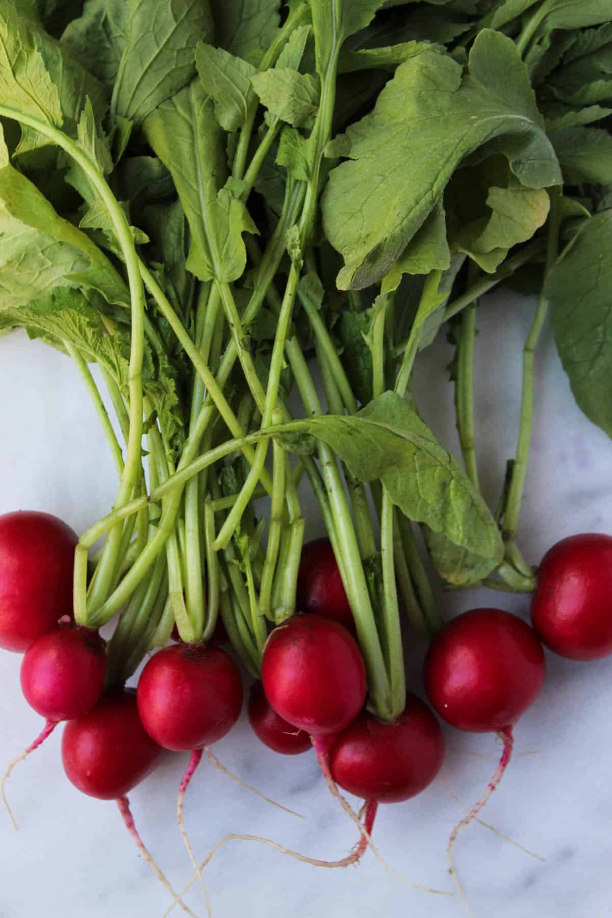 A bunch of radishes and their stems on a white counter top.