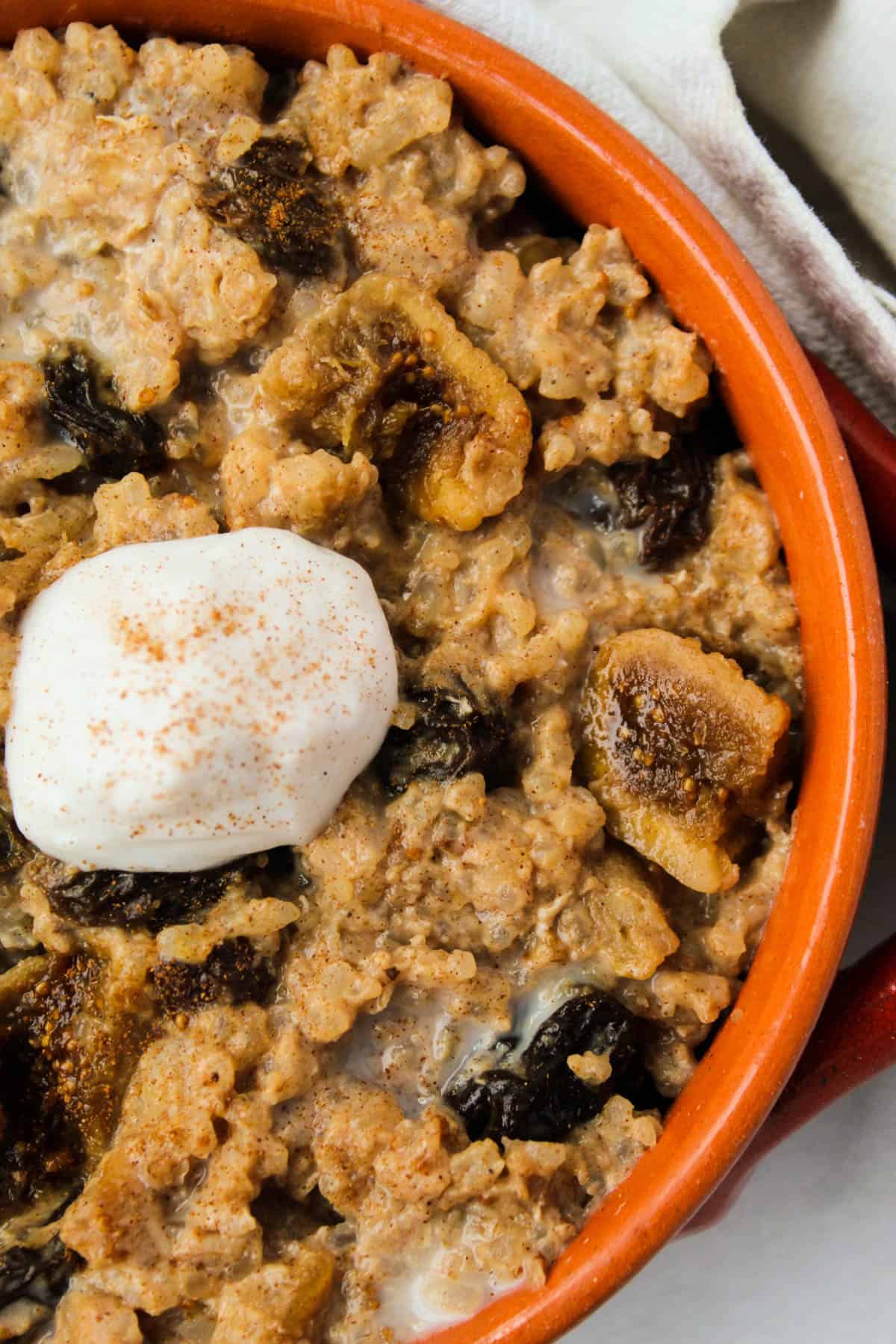 Healthy Horchata Rice Pudding