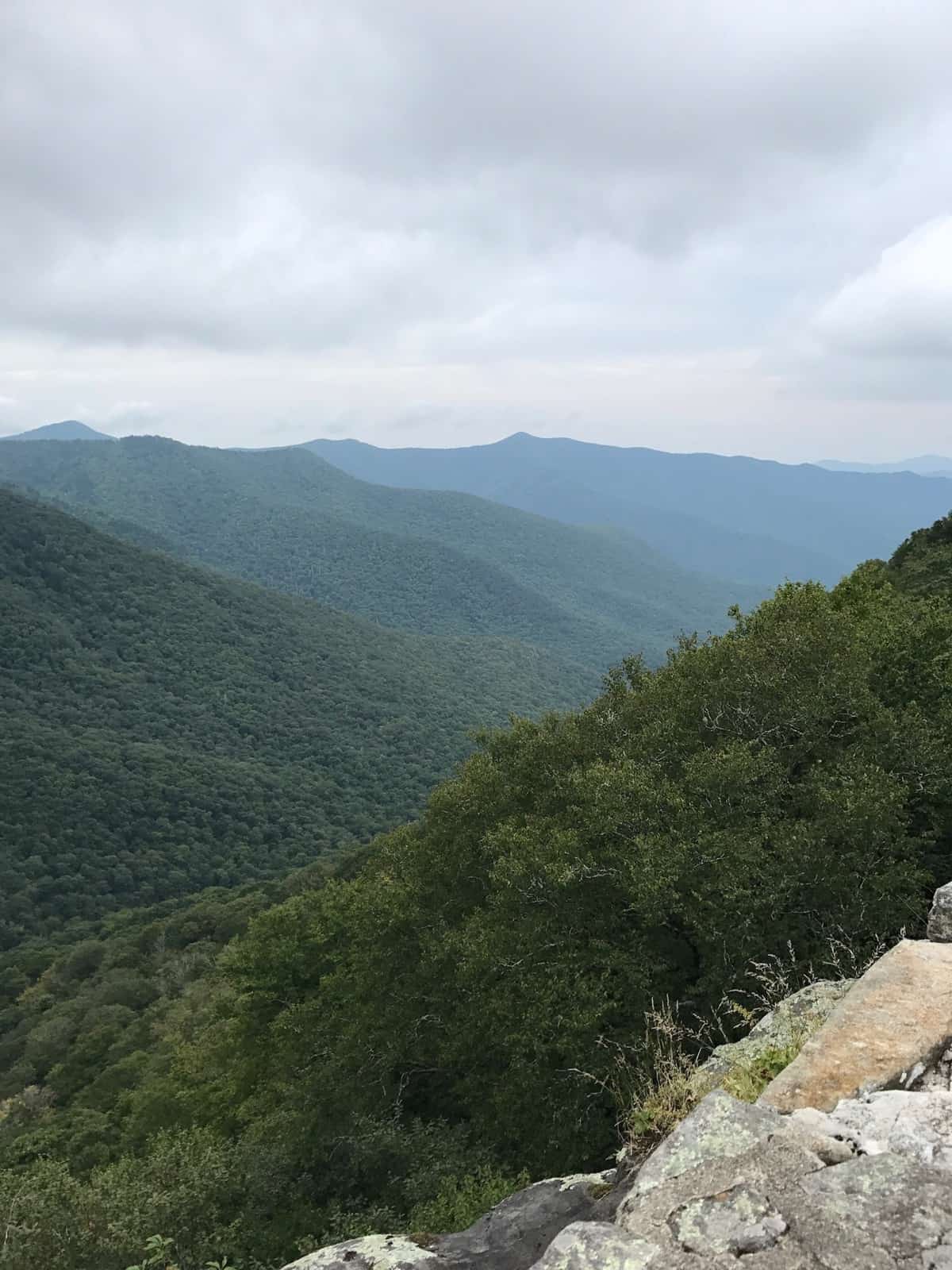 Helping you discover Asheville, NC with a breakdown of what to do, where to eat, and where to stay! - Eat the Gains