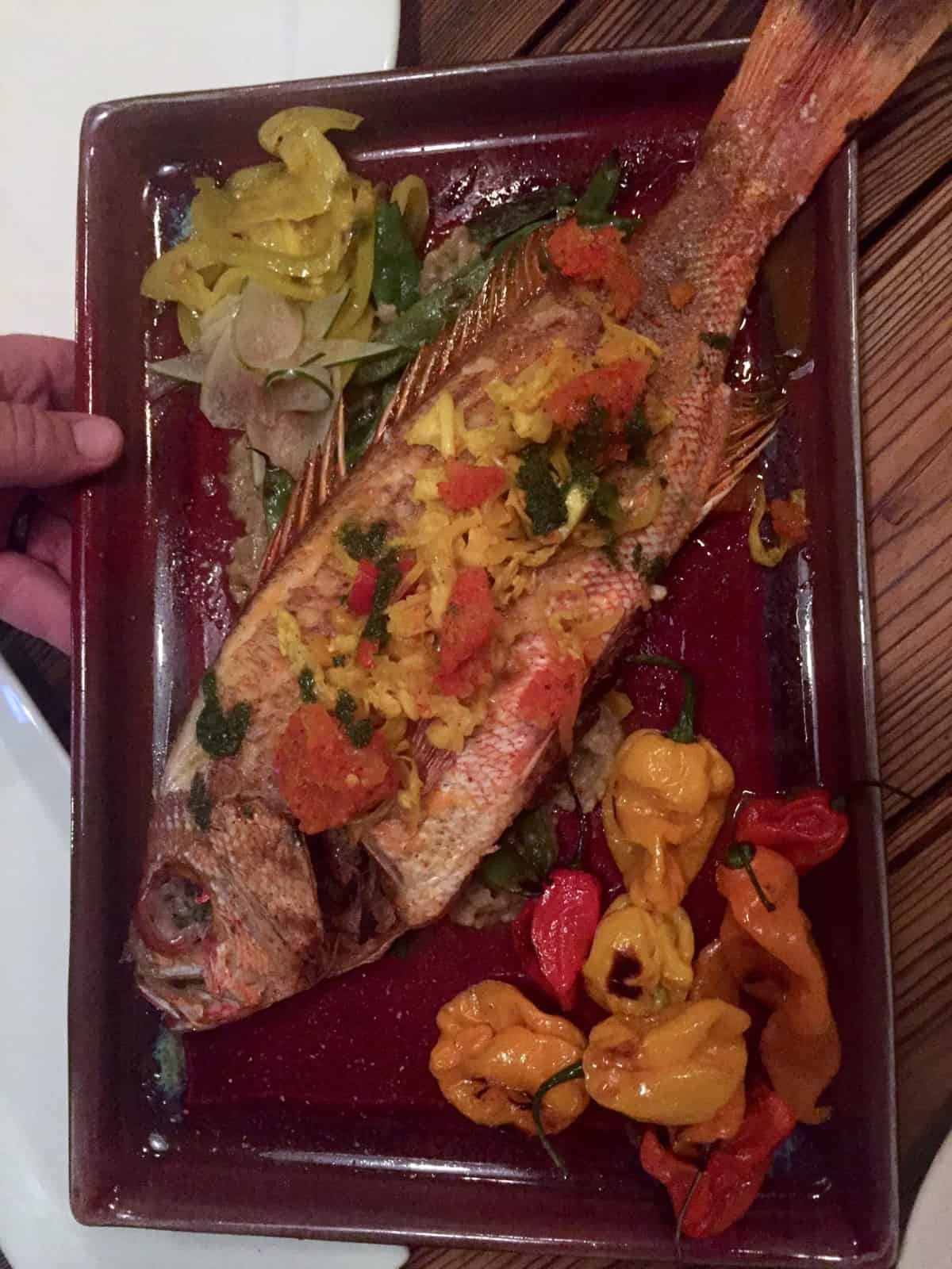 Helping you discover Asheville, NC with a breakdown of what to do, where to eat, and where to stay! - Eat the Gains