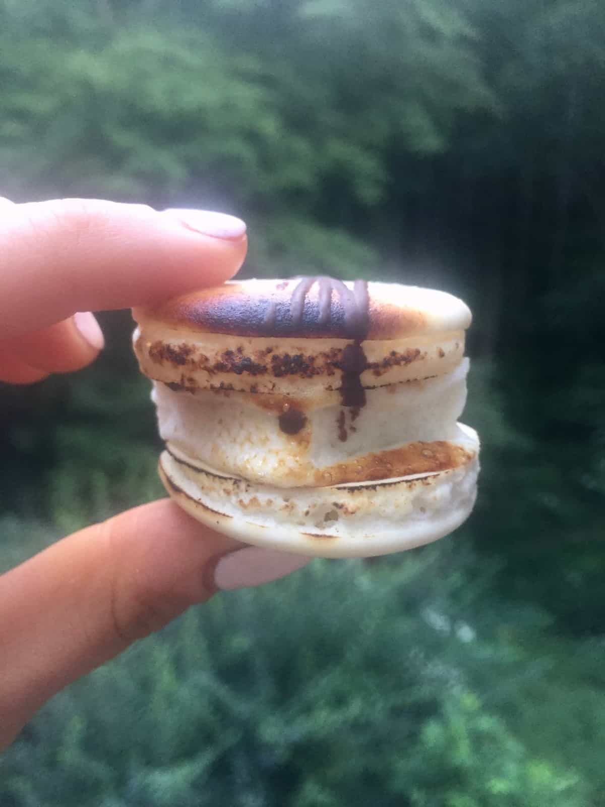 Helping you discover Asheville, NC with a breakdown of what to do, where to eat, and where to stay! - Eat the Gains