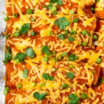 A large dish of buffalo chicken enchiladas with melted cheese. They are topped with cilantro and green onions.
