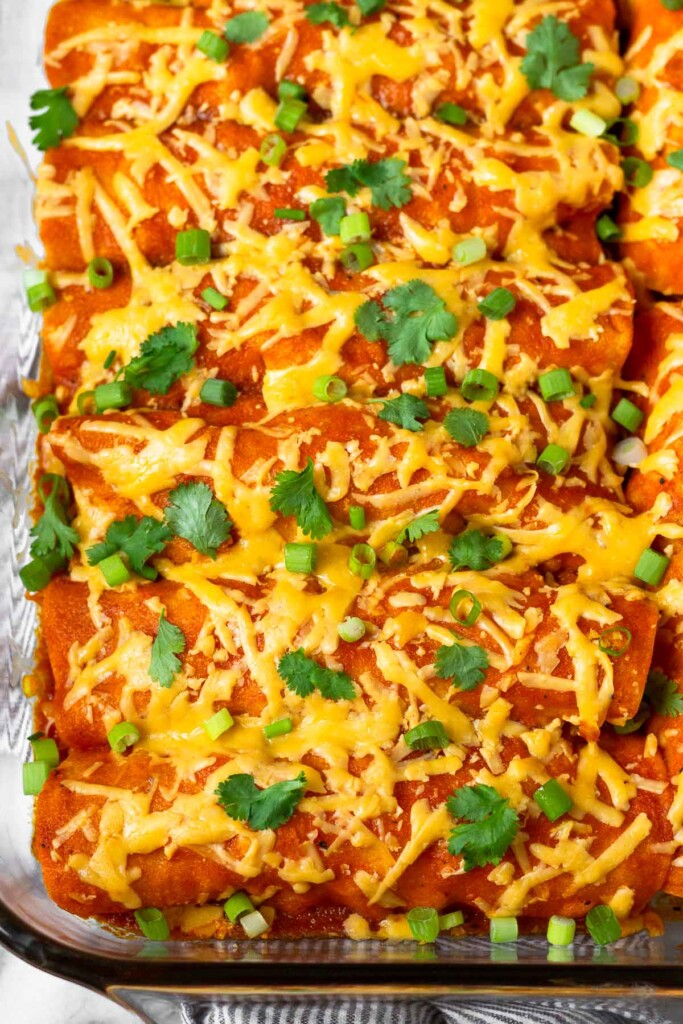 A large dish of buffalo chicken enchiladas with melted cheese. They are topped with cilantro and green onions.