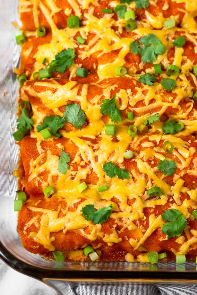 Close up of chicken enchiladas topped with buffalo sauce and shredded cheese. They are topped with cilantro and green onions.