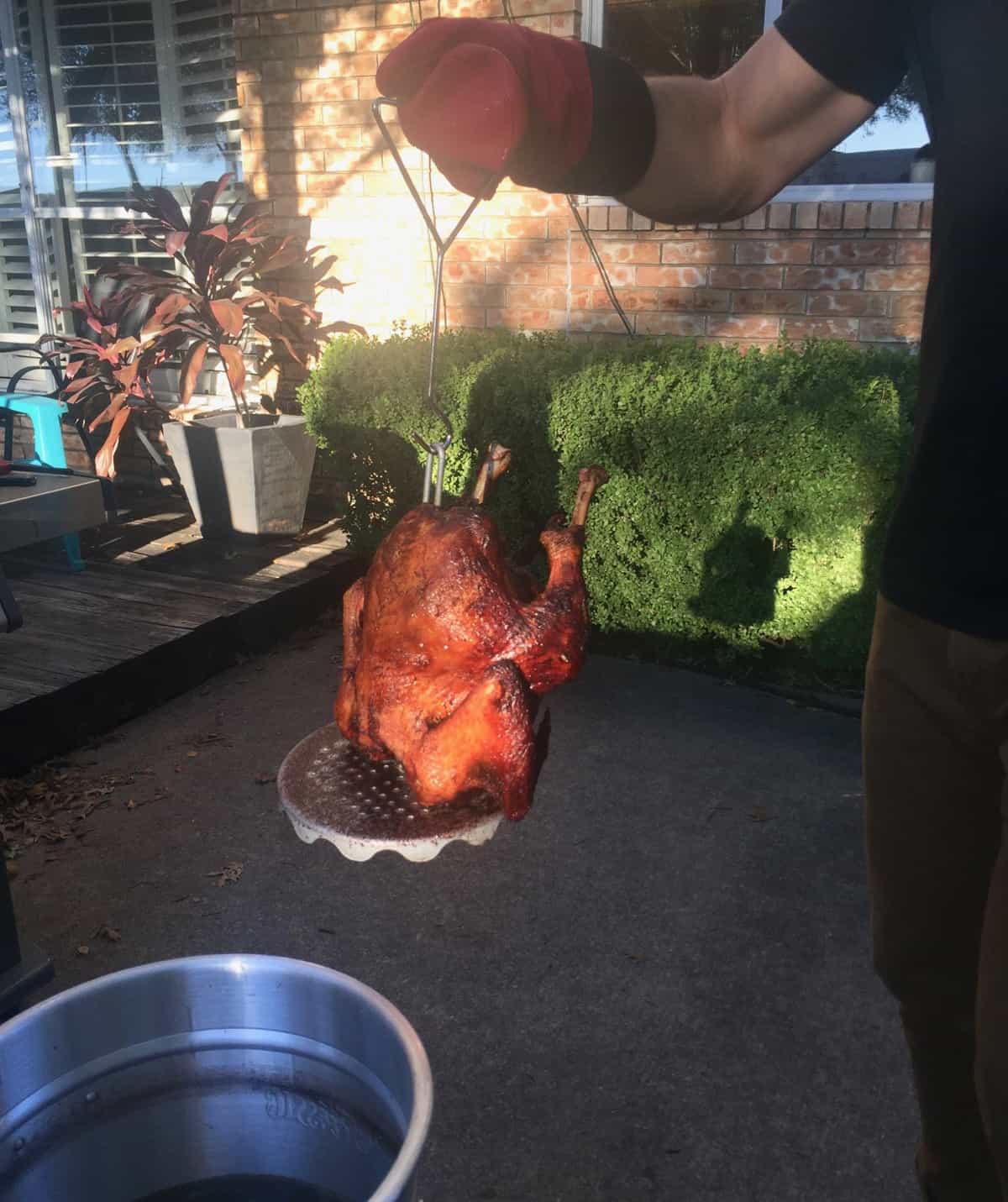 November Rewind 2017