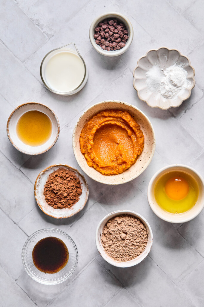 A small bowl of mini chocolate chips, a small dish of baking powder and salt, a bowl of pumpkin puree, a bowl with a raw egg in it, a bowl of chocolate protein powder, a small dish of vanilla bean paste, a bowl of cocoa powder, a small dish of maple syrup, and a cup of milk on a grey counter.