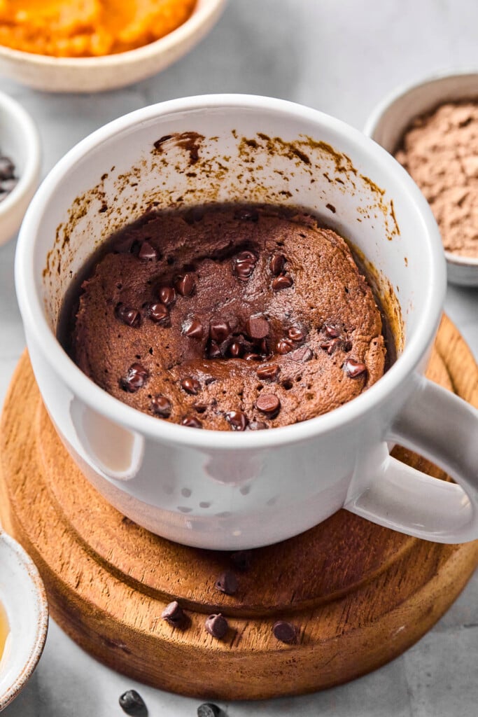 Chocolate protein mug cake with mini chocolate chips. The mug is sitting on a wooden coaster and around the mug are some mini chocolate chips, a bowl of pumpkin puree, and a bowl of chocolate protein powder.
