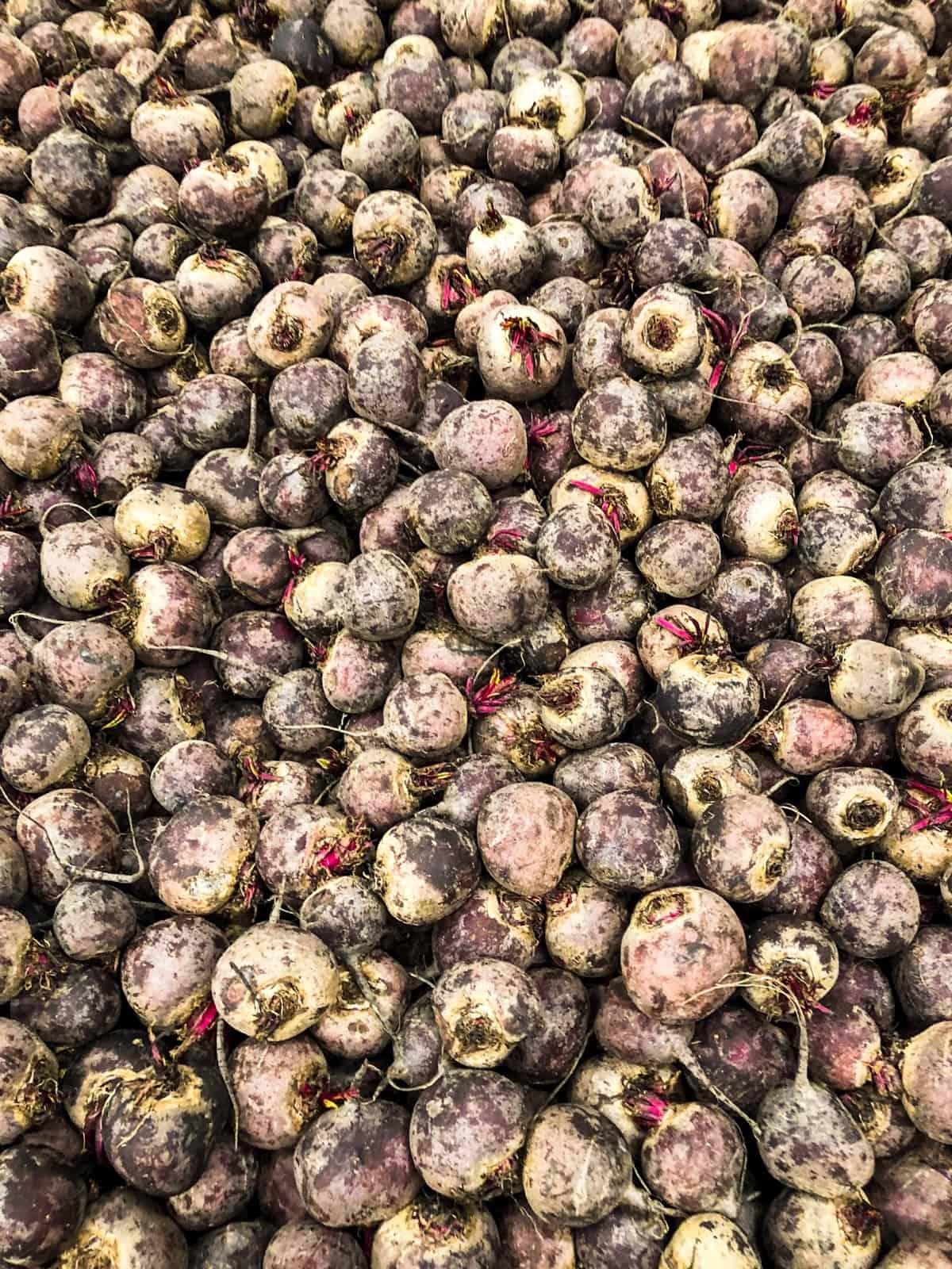 An overhead shot of a bunch of beets from a farm in a large crate