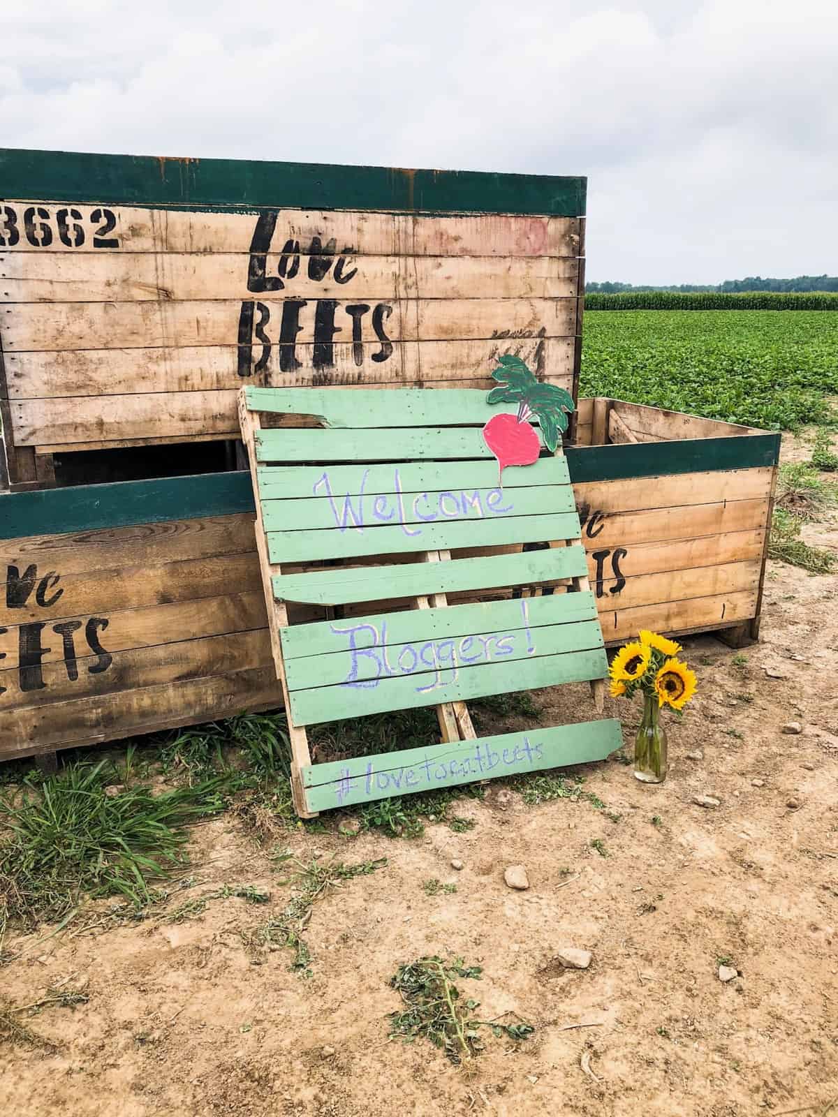 Two large wooden crates that say Love Beets with a wooden sign that says welcome bloggers on a farm