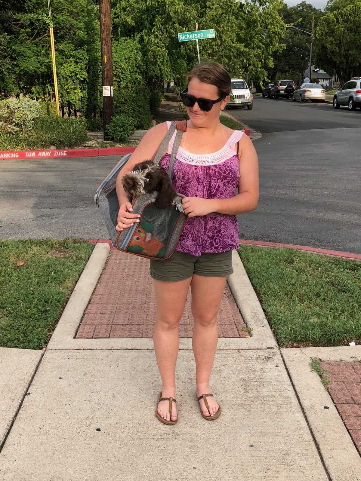 Girl holding a wirehaired pointing griffon puppy in a carrier outside on the sidewalk