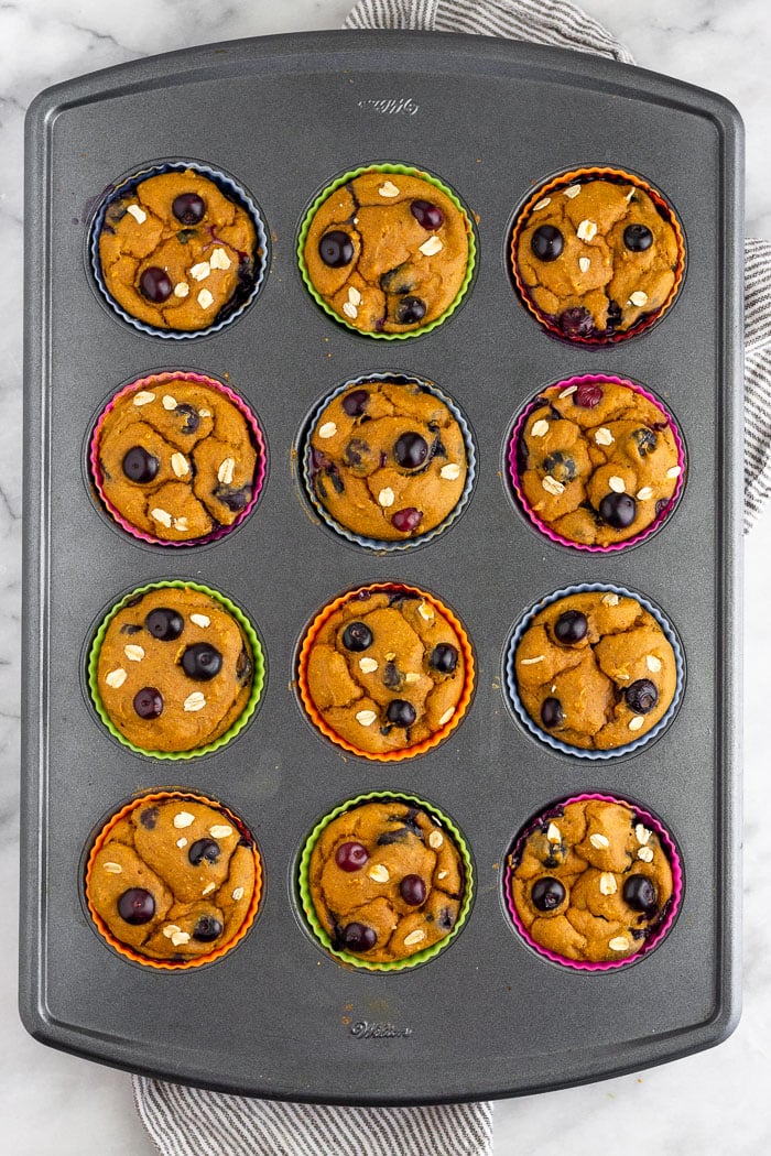 12 blender sweet potato blueberry protein muffins just baked in a muffin tin.