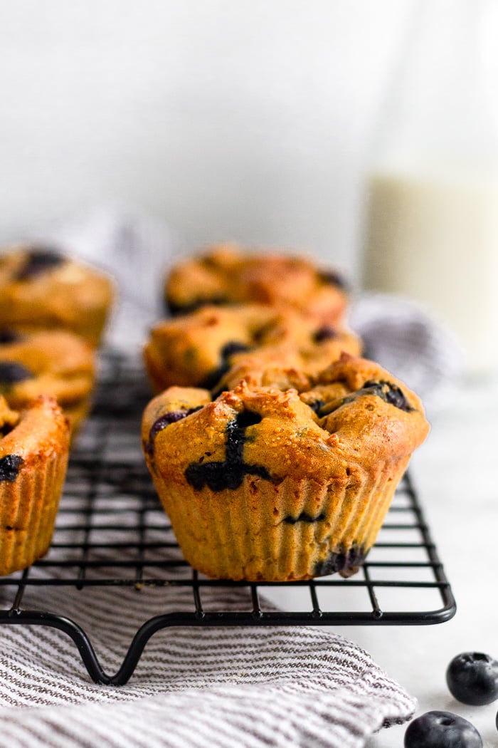 Sweet potato muffins with blueberries sitting on a cooling rack on a stripped towel. There are some blueberries in front of them and a jar of milk behind.