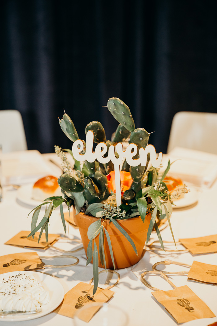 Cactus in a terra cotta potter with flowers and green coming out of it. There is a sign that says 'eleven' stuck in it and around it is little bags with a cactus stamp on it.