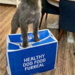 An honest Pet Plate Review Pinterest image