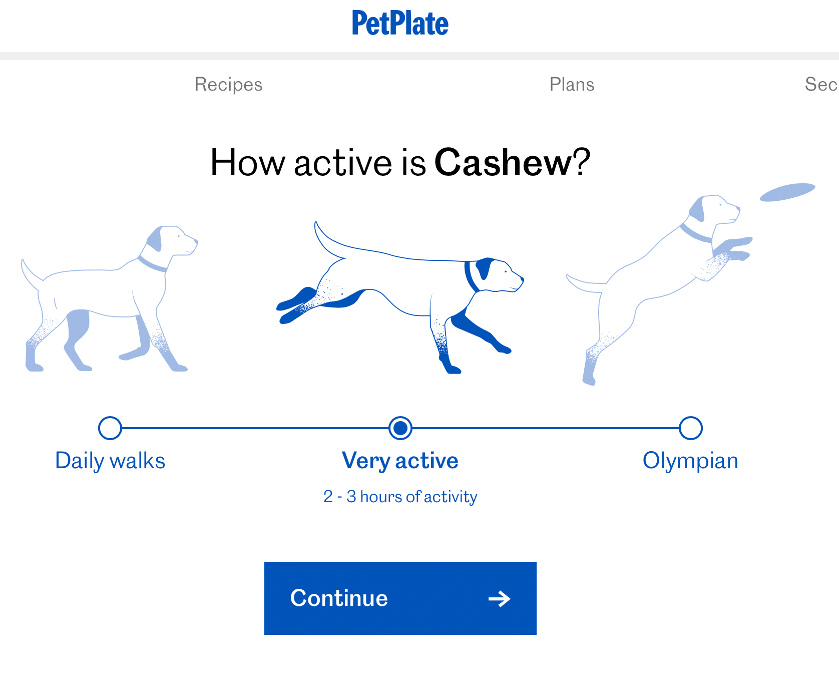 Screenshot of a questionnaire asking how active your dog is.