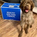 Pet plate reviews Pinterest image