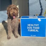 Pet Plate review Pinterest image