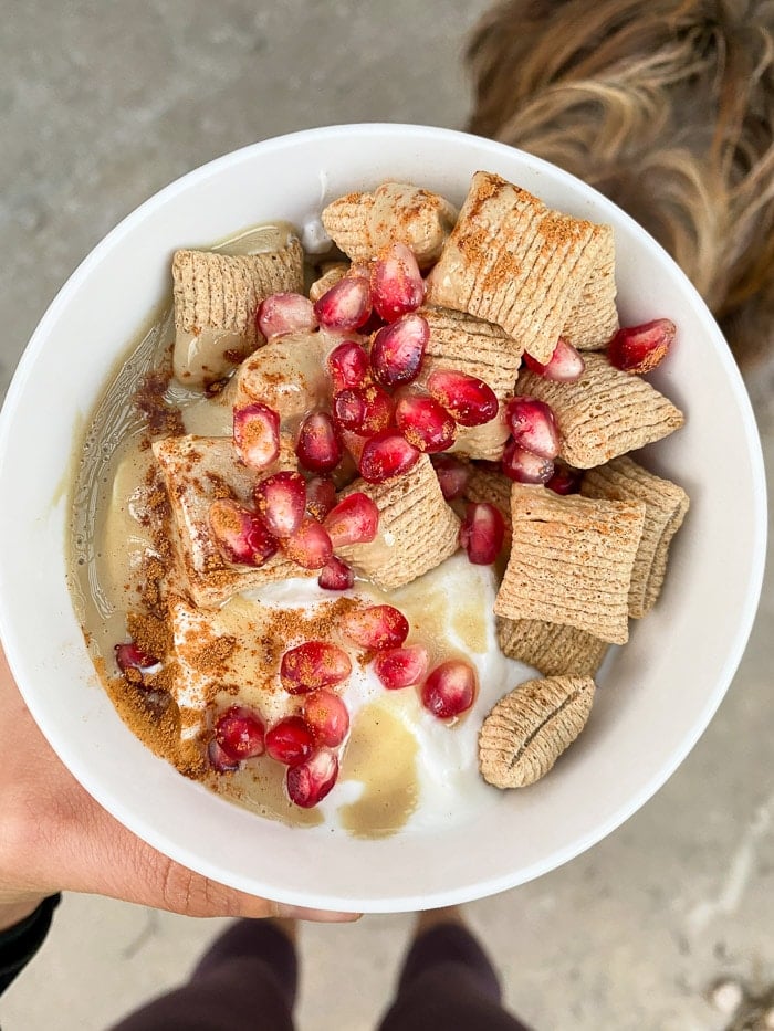 Bowl of yogurt, cereal, nut butter, and pomegranates being held. Below it is a dog's face.
