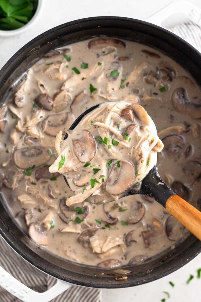 Large dutch oven with creamy mushroom chicken soup with a ladle holding a scoop above it. It is all topped with fresh parsley. Next to the pot is a ramekin of fresh herbs.