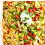 Shredded chicken taco casserole recipe in a large baking dish topped with cheese, crushed tortilla chips, shredded lettuce, diced tomatoes, sour cream, and cilantro.