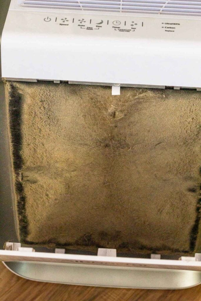 Inside of an air purifier showing a dirty filter.