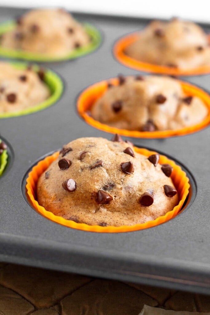 Freshly baked chocolate chip muffins in a muffin tin.