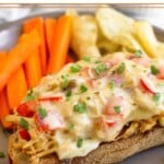 Chicken salad melt garnished with cilantro on a brown plate with sliced carrots and potato chips.