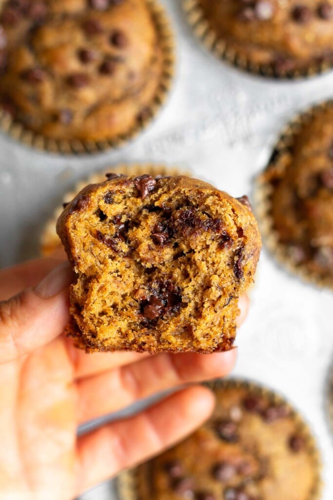 A hand holding a high protein muffin with chocolate chips with a bite taken out of it. In the background a muffin tin with more muffins in it.