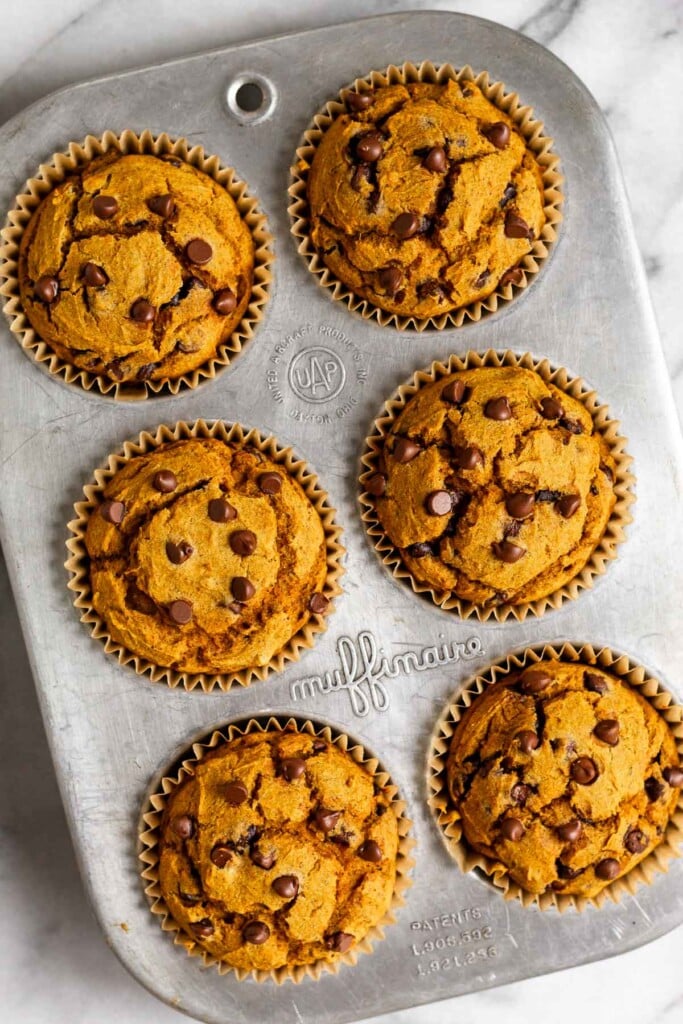 Overhead shot of six pumpkin chocolate chip muffins in a muffin tin.