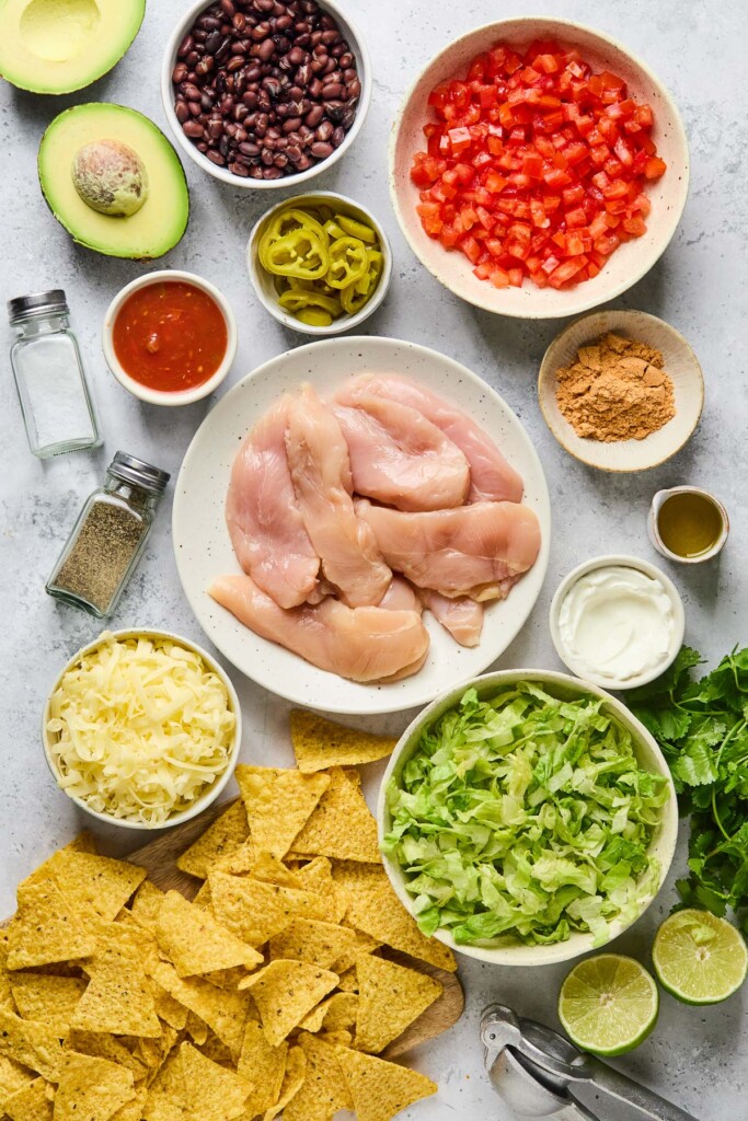 Grey concrete counter with a bowl of diced tomatoes, a bowl of taco seasoning, a dish of olive oil, a bowl of sour cream, a bowl of shredded lettuce, a bunch of cilantro, a lime that has been cut in half, a silver citrus press, a pile of tortilla chips, a bowl of shredded cheese, a bowl of raw chicken tenders, a salt and pepper shaker, a bowl of salsa, a bowl of pickled jalapeños, and an avocado that has been cut in half.