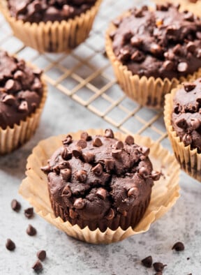 Chocolate protein muffin with some mini chocolate chips around it. Behind it is a cooling rack of more muffins.