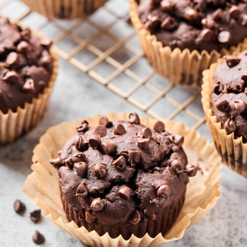 Chocolate protein muffin with some mini chocolate chips around it. Behind it is a cooling rack of more muffins.
