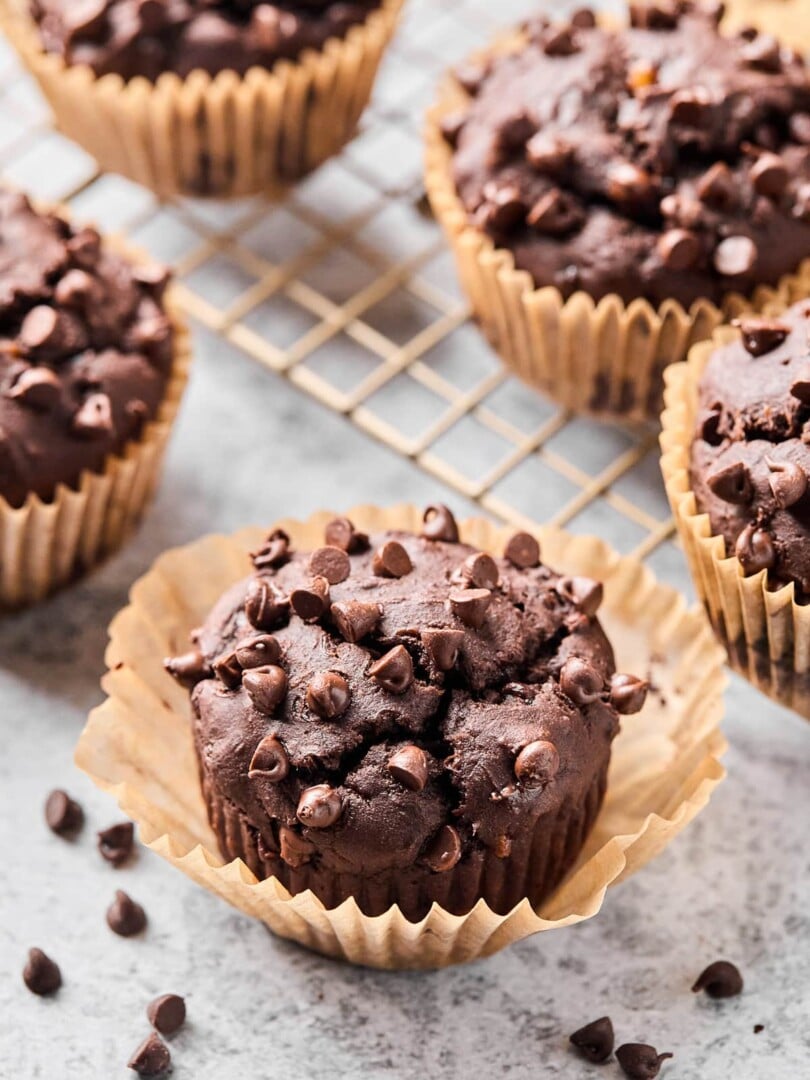 Chocolate protein muffin with some mini chocolate chips around it. Behind it is a cooling rack of more muffins.