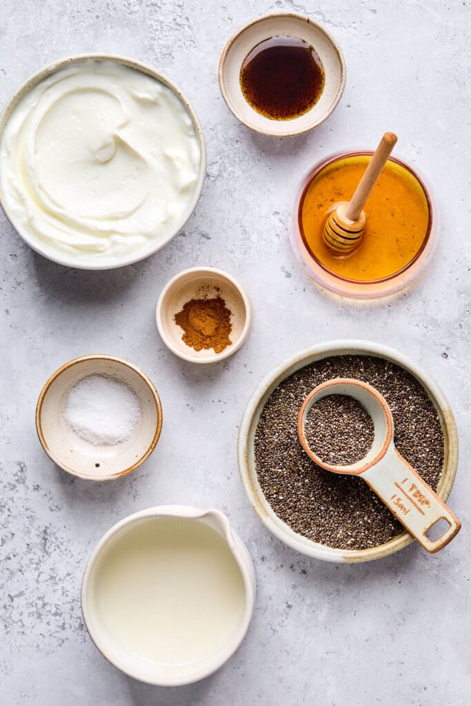 Grey concrete counter with a small bowl of vanilla bean paste, a bowl of honey with a honey dipper in it, a bowl of chia seeds with a teaspoon in it, a cup of milk, a small bowl of salt, a small bowl of cinnamon, and a bowl of greek yogurt.