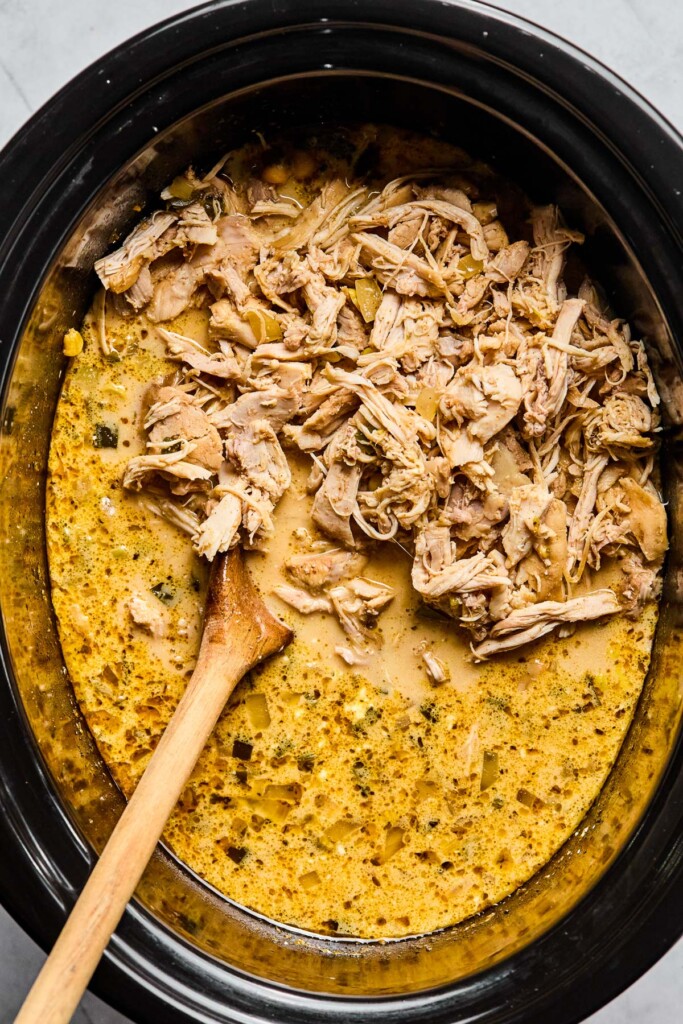 Overhead shot of a creamy soup in a slow cooker.