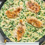 Spinach artichoke chicken skillet garnished with red pepper flakes. Next to the pan is a bowl of rice, a striped kitchen towel, a small bowl of red pepper flakes, and a small bowl of parsley.